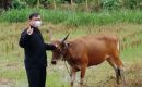 Daerah Papua Barat Laksanakan Rapat Panitia Qurban 2023