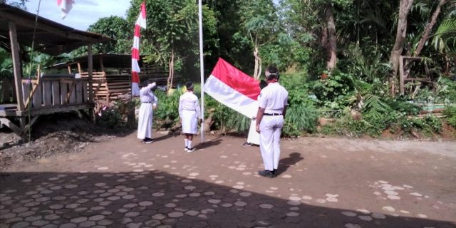 5hutri20